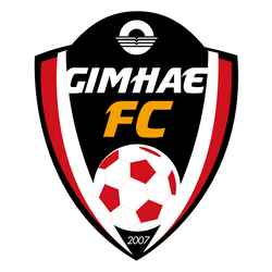 龙仁FC