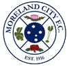 华勒比市