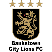 希尔斯联FC